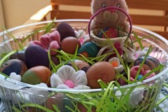 1-IMG-392b2c39e82514bfc74196c518710ee5-V