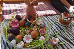 1-IMG-584ec06a75230c8867cca35c2de420b3-V