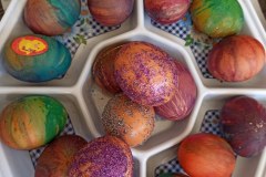 1-IMG-798d9b3edd758d4838ac7e4e99009578-V