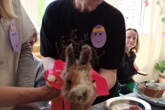 1-IMG-956f73c45784e9752a463b75fe6600b6-V