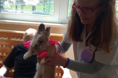 1-IMG_20210429_112208