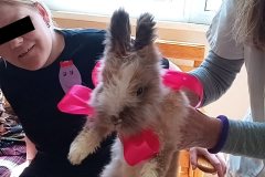 1-IMG_20210429_112211