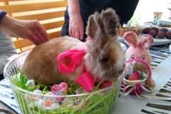 1-IMG_20210429_112328_1