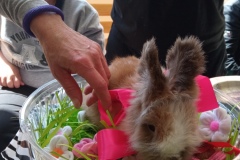 1-IMG_20210429_112349